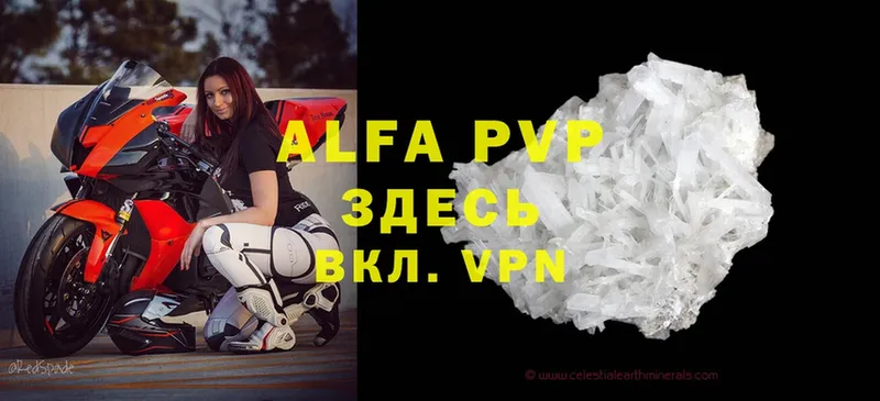 A-PVP СК  Карабаново 