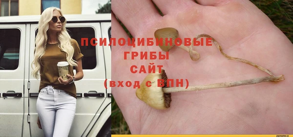 спиды Надым