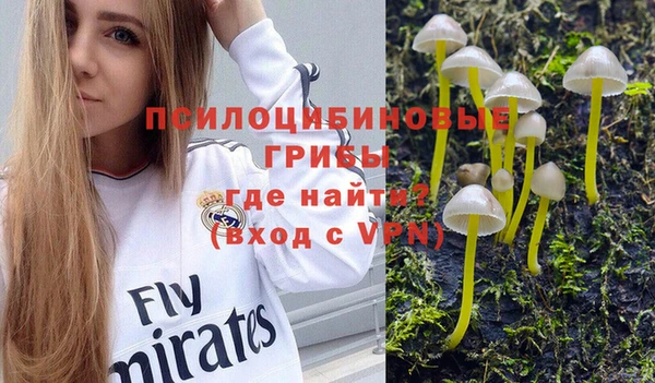спиды Надым