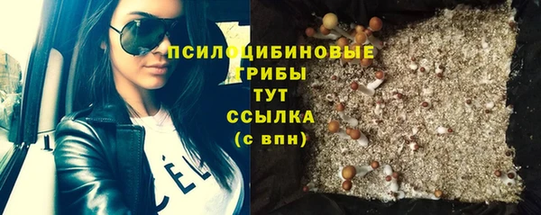гидра Наволоки