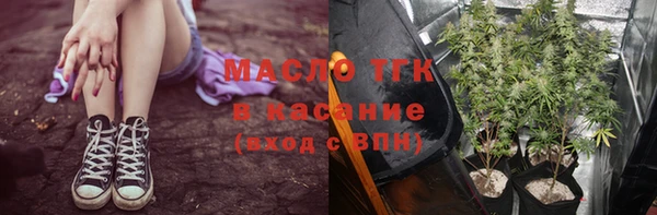 гидра Наволоки