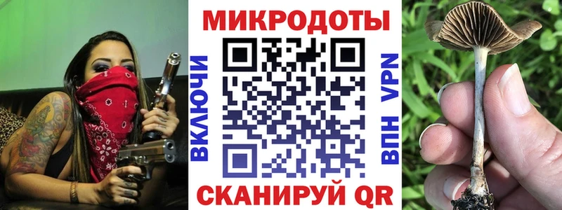 где найти   Карабаново  Псилоцибиновые грибы прущие грибы 